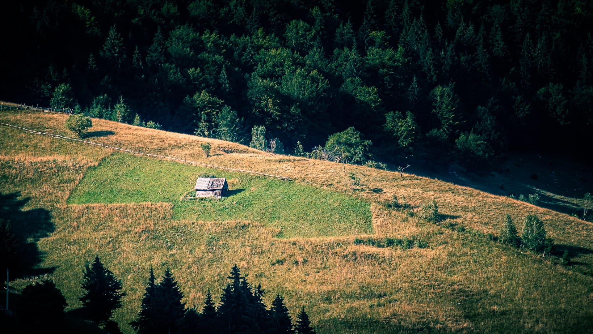 Creastă montană în ceață