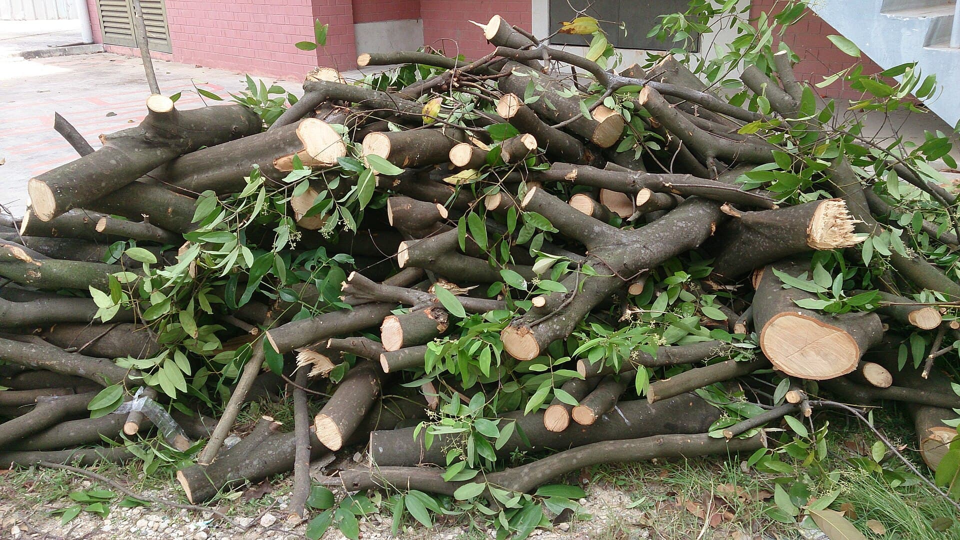 Habitat distrus