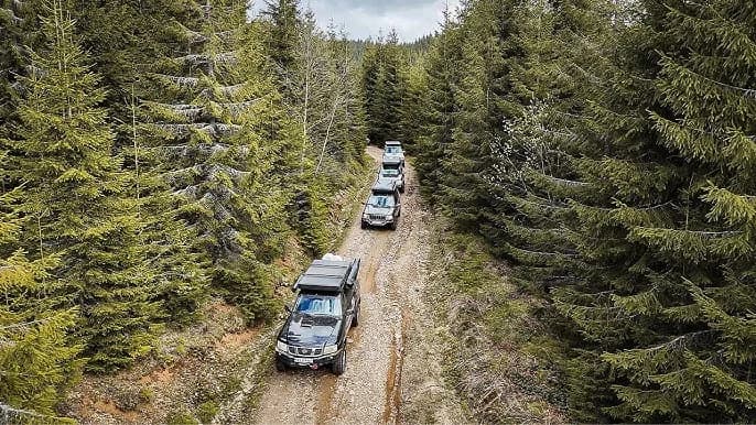 Traseu reglementat: echipaj licențiat pe drum forestier marcat